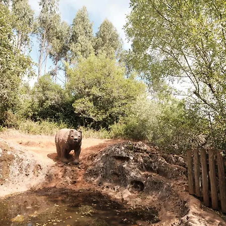 Casa Da Pia - Pia Do Urso Casais de Sao Mamede