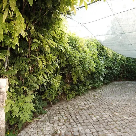 Casa Da Pia - Pia Do Urso *