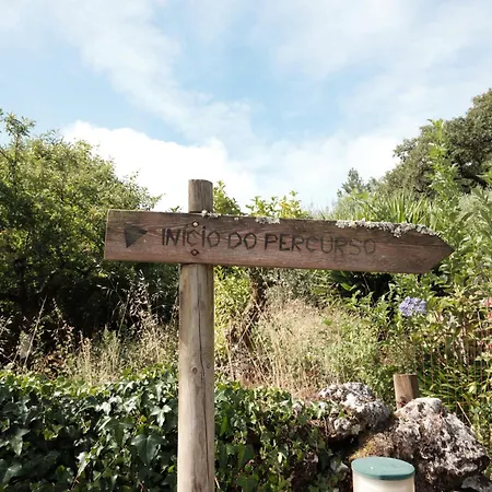 Casa Da Pia - Pia Do Urso فيلة Casais de Sao Mamede