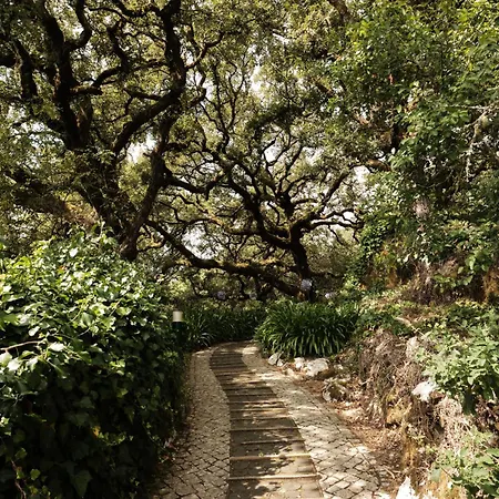 Casa Da Pia - Pia Do Urso فيلة Casais de Sao Mamede