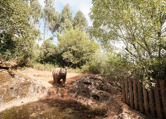 Casa Da Pia - Pia Do Urso Casais de Sao Mamede
