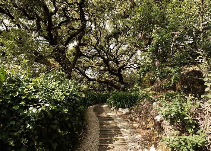 Casa Da Pia - Pia Do Urso ヴィラ Casais de Sao Mamede